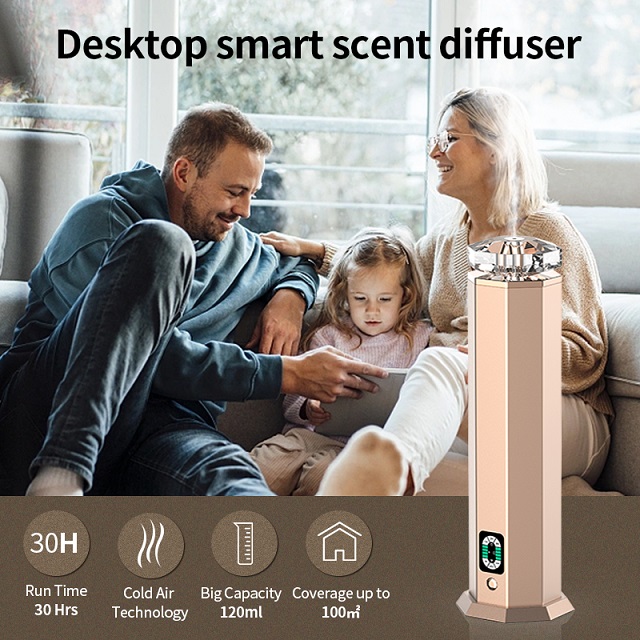 BD600